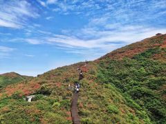 -大围山国家森林公园