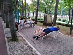 -万绿园