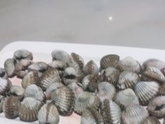 -华盛丰温州大排档(东三环南路店)