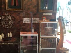 -more than meow吴止猫主题餐厅(承德 中船汇店)