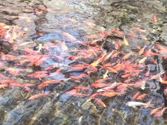 -水磨沟公园