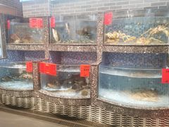 水产区-德胜轩正宗顺德菜(宝安沙井会展中心店)