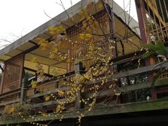 -三圣花乡旅游区