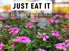 -虾小龙老长沙龙虾馆(坡子街店)