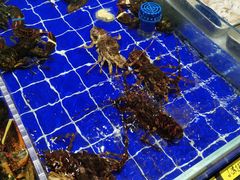 -百纳·锦绣江南 (百纳瑞汀酒店)