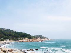 -广东惠东海龟国家级自然保护区