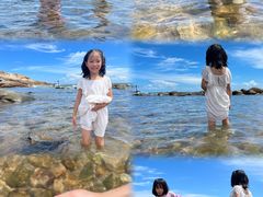 -广东惠东海龟国家级自然保护区