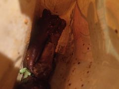 -吞鱼兽麻辣烤鱼(万达店)