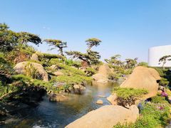 -罗红摄影艺术馆