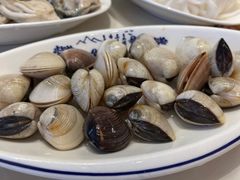 白贝-冯姐生蚝(迎宾广场店)