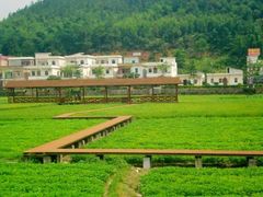 -红山村