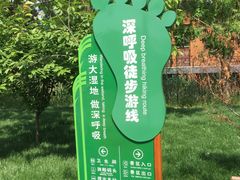 -泗洪洪泽湖湿地景区