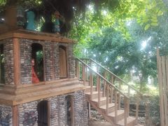 -呀路古热带植物园