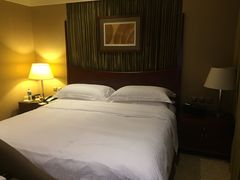 -上海红塔豪华精选酒店