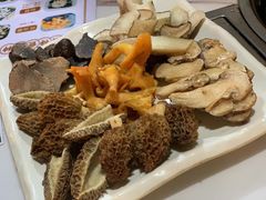 -蘑统田下·野生菌火锅