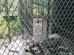 -藏龙百瀑风景区