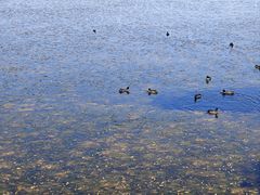 -野鸭湖国家湿地公园