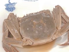 生醉湖蟹-丁记盐蘸牛肉·新杭菜(河东路店)