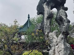 -无锡梅园公园