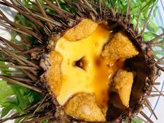 -众想海鲜·烧烤·海肠捞饭·渔家菜(孙家疃店)