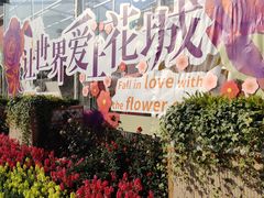 -海心沙亚运公园