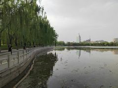 -莲花池公园
