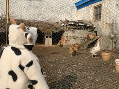 -泉州海丝野生动物世界