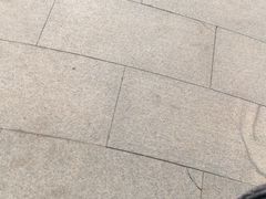 -曲阜东站