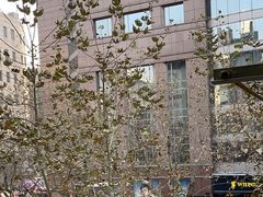 -上海置地广场(南京东路店)