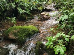 -五女峰国家森林公园