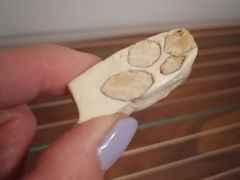 -苏小糖(鼓浪屿三丘田花园店)