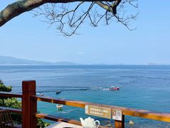 -美人鱼悬崖海景餐厅(鹿嘴山庄店)
