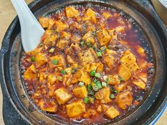 -陈麻婆豆腐总店