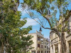 -赤坎·广东华侨国际旅游度假区