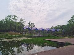 -暨阳湖生态园