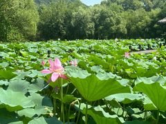 -兰亭风景区