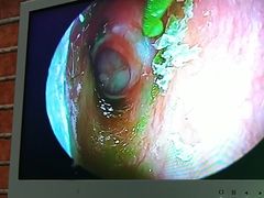 -万达广场(南宁青秀店)