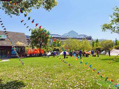 -长兴太湖图影湿地文化园