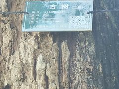 -国家图书馆·古籍馆
