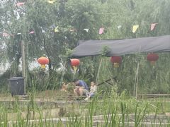 -同銮特种养殖场·龙虾垂钓