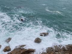 -广东惠东海龟国家级自然保护区