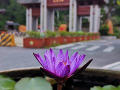 -国恩寺