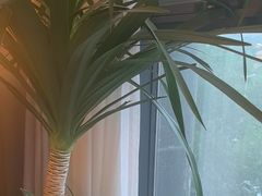 -鸽子侯·家宴·平价海鲜(绿地店)