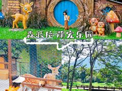 -佛冈森波拉度假区