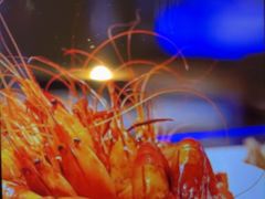 -麓湖国际水疗