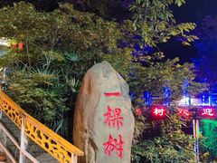 -丫口花园餐厅·融合菜