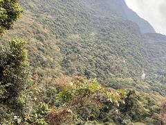 -梧桐山风景名胜区