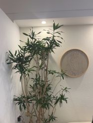 -唯奈斯肌肤管理中心