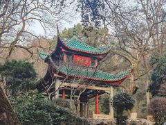 -岳麓山风景名胜区