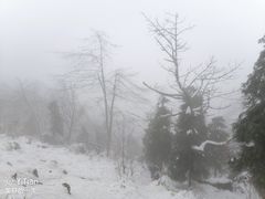 -九峰山